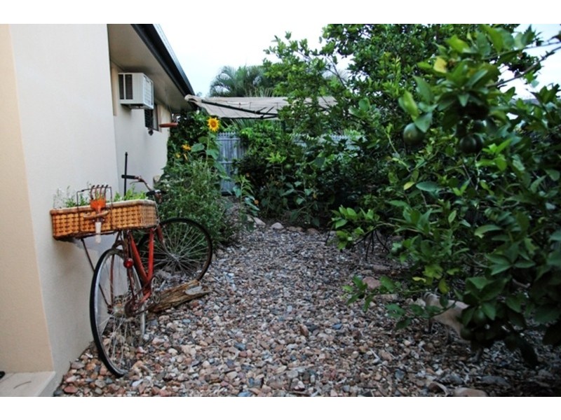 1 Brinkley Court, Mount Louisa QLD 4814