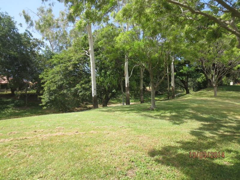 38 Boronia Drive, Annandale QLD 4814