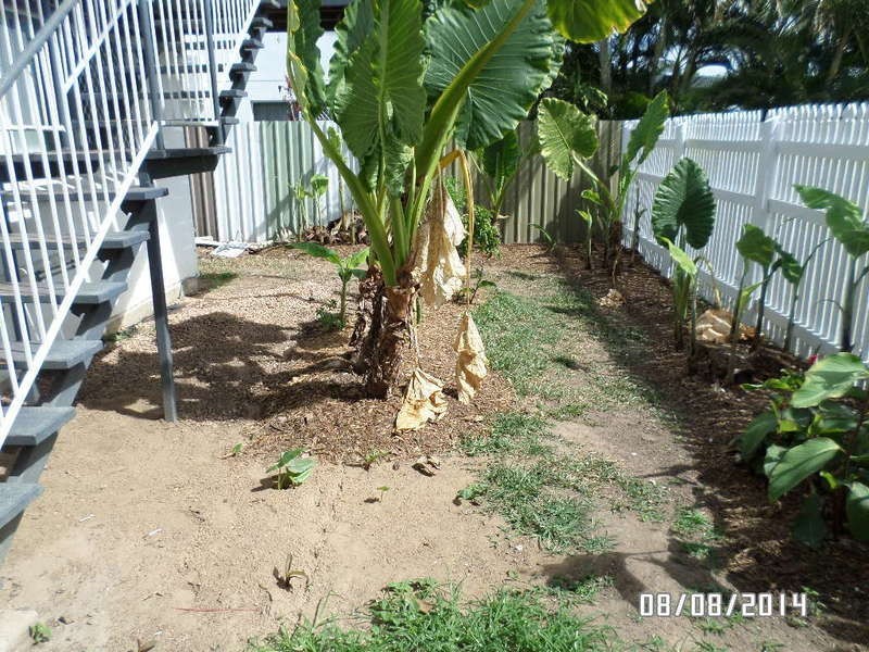 28 Sonia Street, Rasmussen QLD 4815