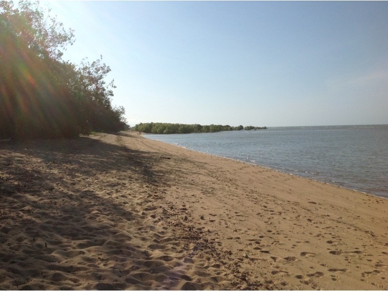 54 Livistonia Close, Bushland Beach QLD 4818