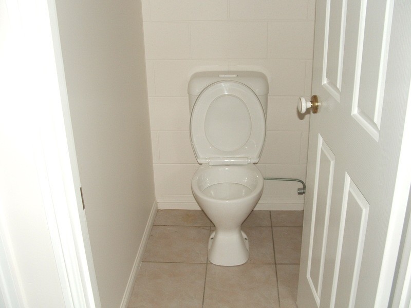 5 Dianella Court, Annandale QLD 4814