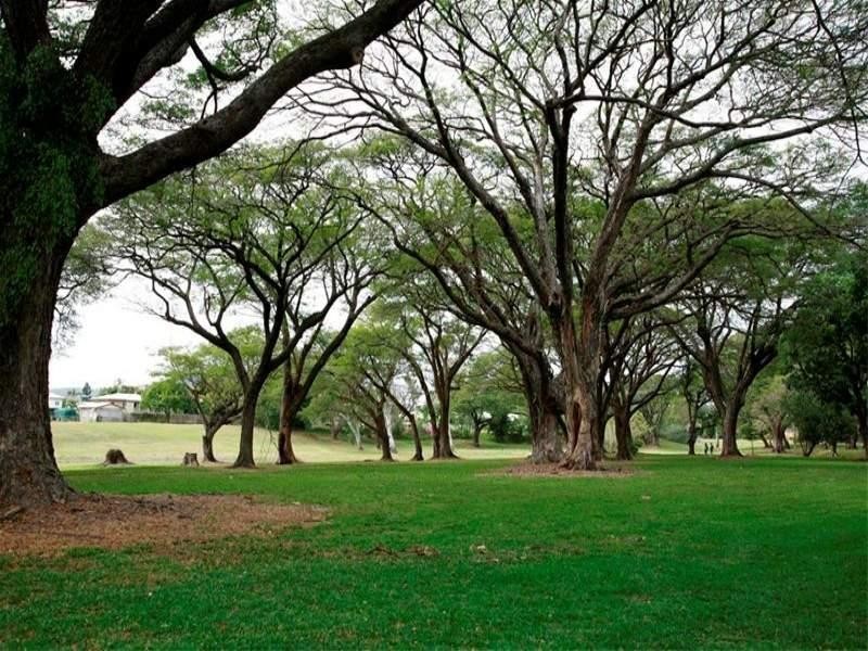 40 Johnson Street, Aitkenvale QLD 4814