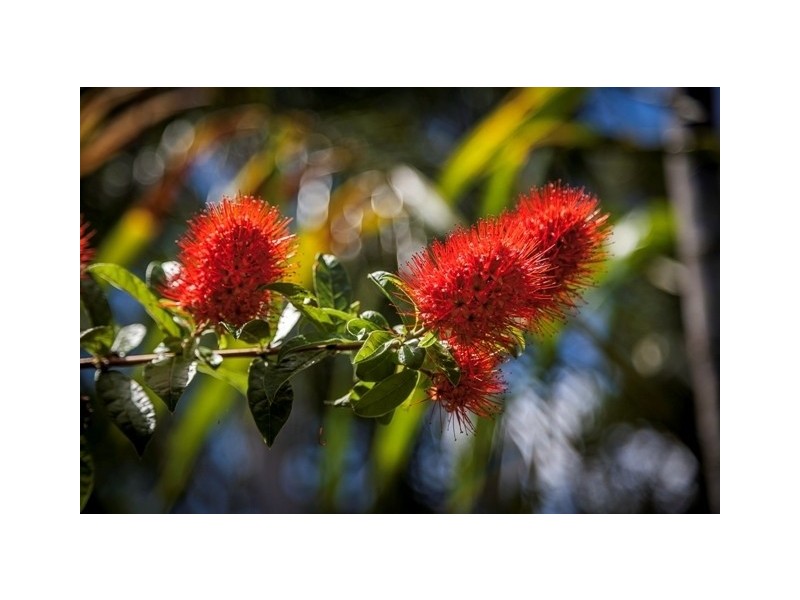 17 Saunders Beach Road, Saunders Beach QLD 4818