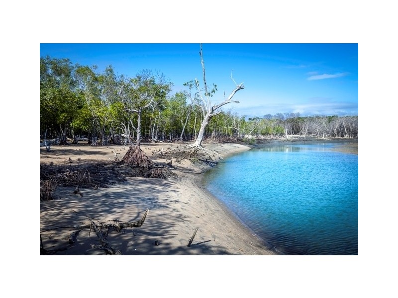 17 Saunders Beach Road, Saunders Beach QLD 4818 LiveNInvest Real Estate Withdrawn