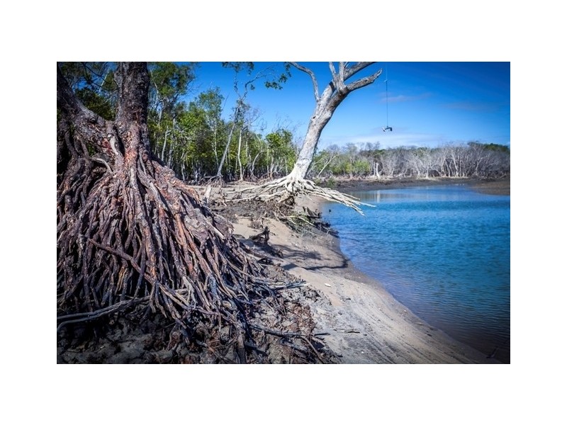 17 Saunders Beach Road, Saunders Beach QLD 4818 LiveNInvest Real Estate Withdrawn