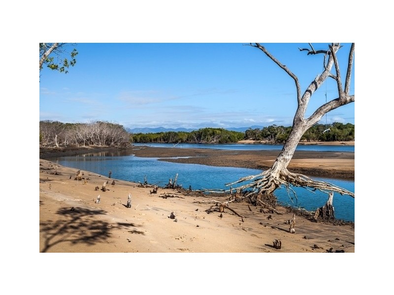 17 Saunders Beach Road, Saunders Beach QLD 4818 LiveNInvest Real Estate Withdrawn