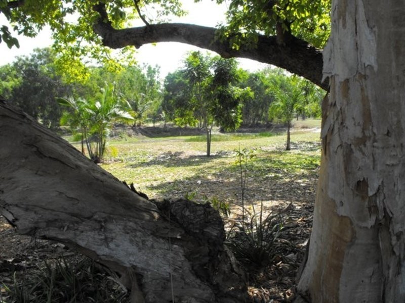 Lot 216 Pavia Drive, Nome QLD 4816