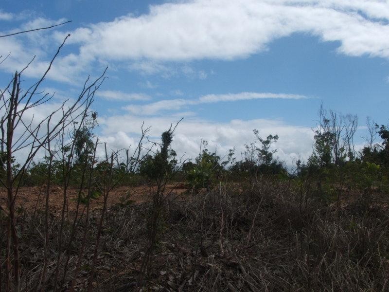 Lot 2 Cowley Beach Road, Cowley Beach QLD 4871