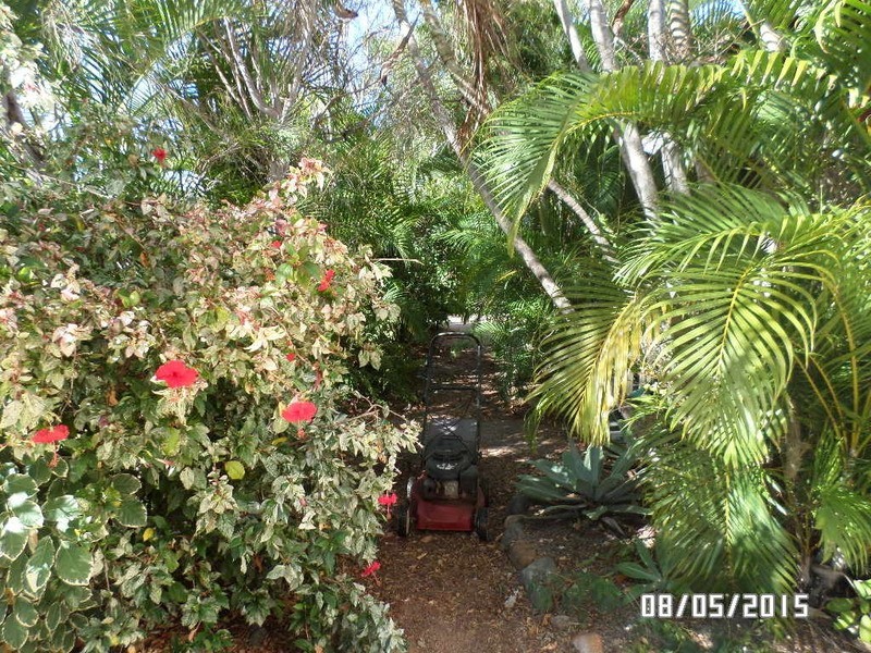 * Griffith Street, South Townsville QLD 4810