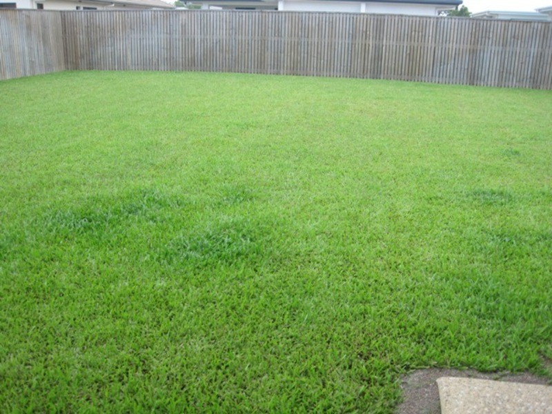 56 Lady Musgrave Circuit, Burdell QLD 4818