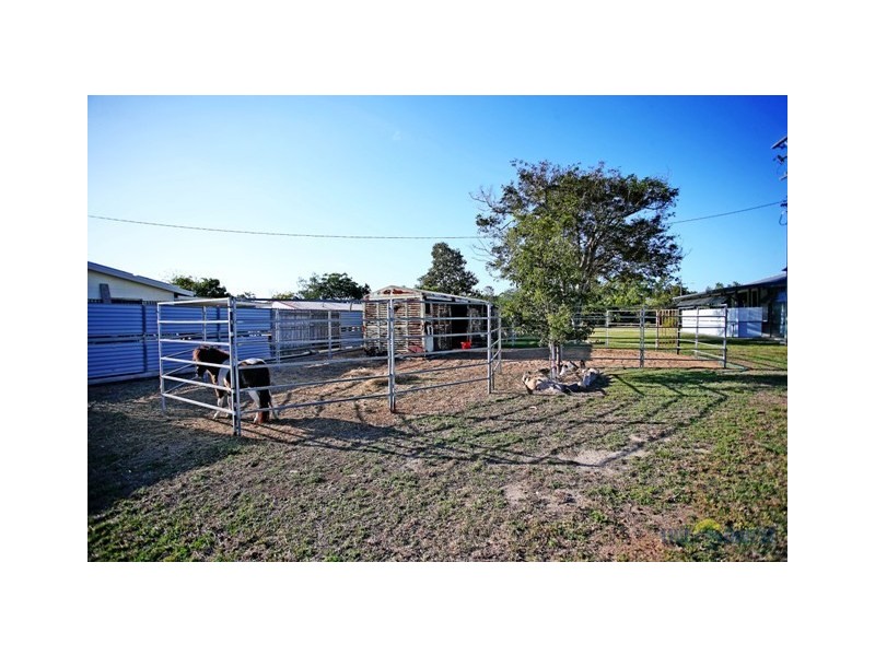 43 Alligator Creek, Alligator Creek QLD 4816