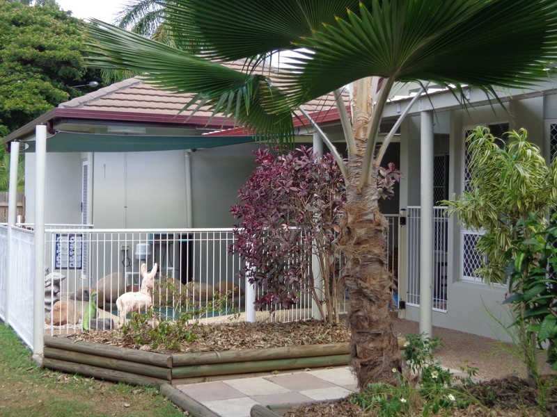 * River Park Drive, Annandale QLD 4814