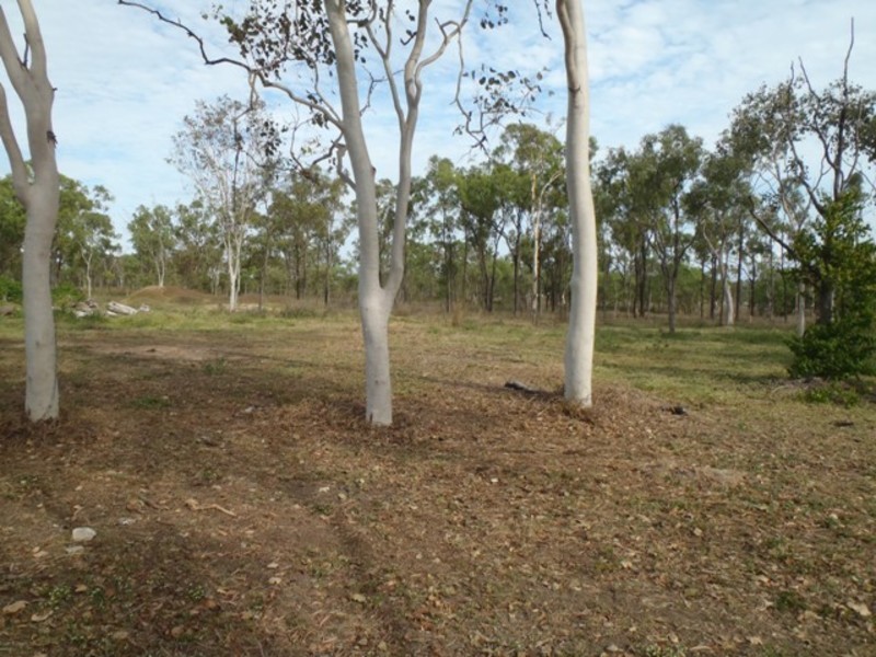 23 Moree Road, Black River QLD 4818