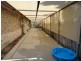 * Martello Drive, Kirwan QLD 4817