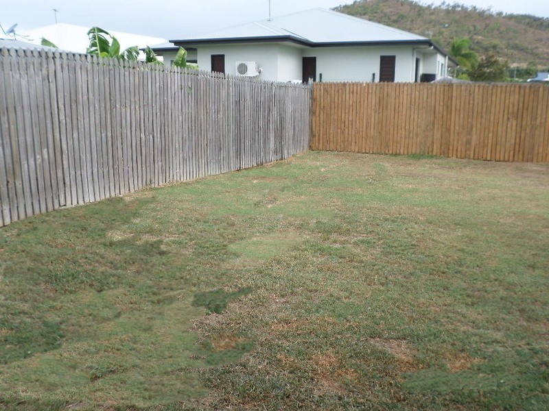 20 Lyndhurst Street, Mount Louisa QLD 4814