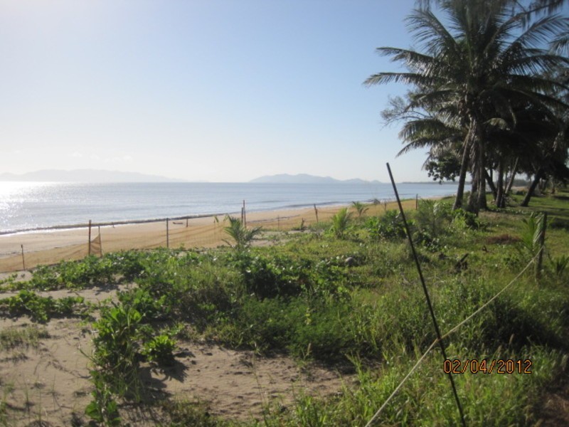 103 Cay Street, Saunders Beach QLD 4818