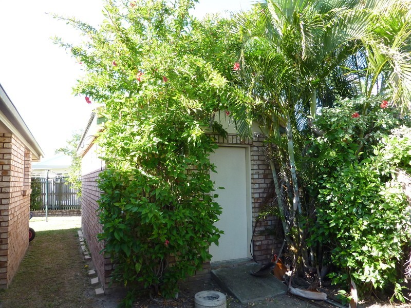 26 Jenkinson Drive, Annandale QLD 4814