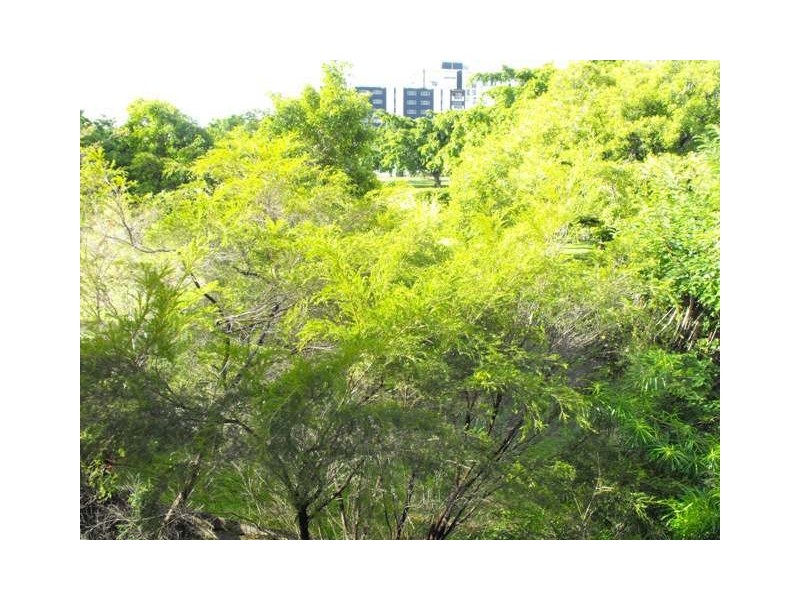 South Townsville QLD 4810