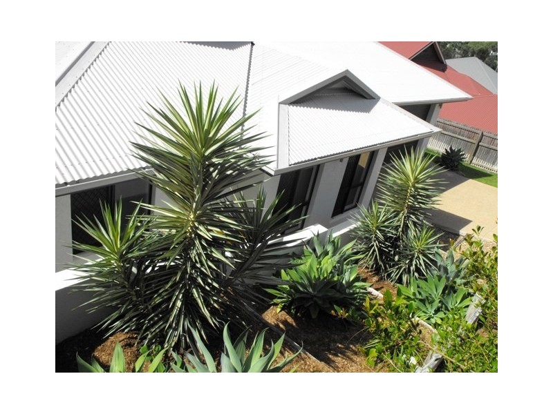 18 Palomar Court, Mount Louisa QLD 4814