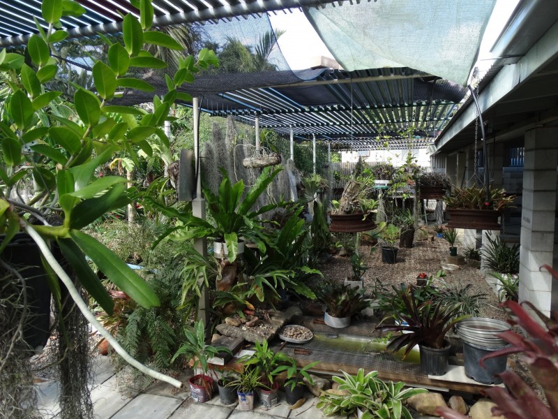 18 Murphy Street, Deeragun QLD 4818