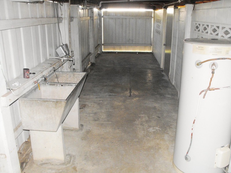 12 Mooney Street, Currajong QLD 4812