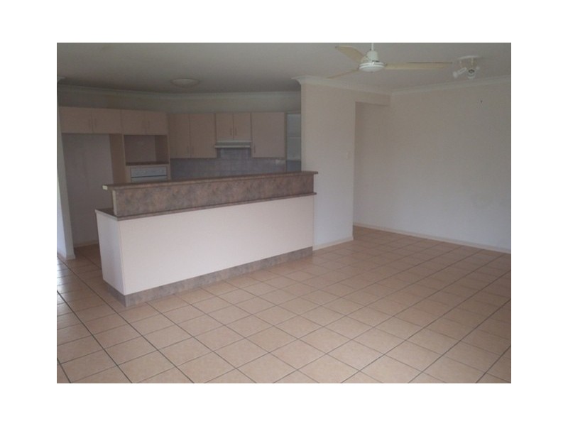 13 Zamia Court, Annandale QLD 4814