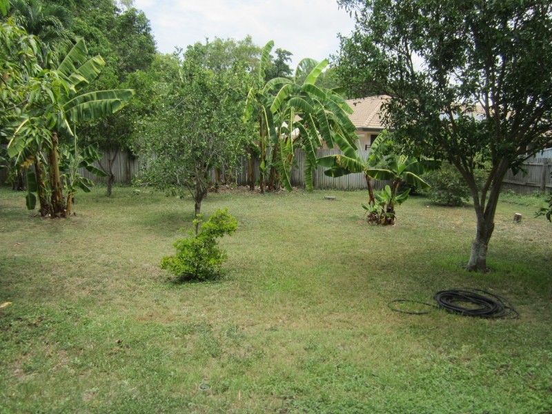 15 Eucalyptus Avenue, Annandale QLD 4814