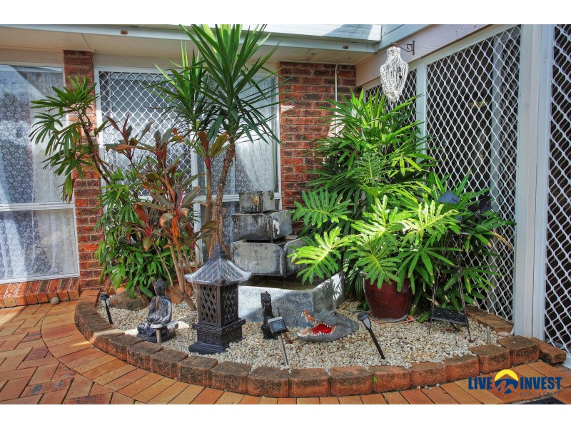 11 Madrid Court, Kirwan QLD 4817
