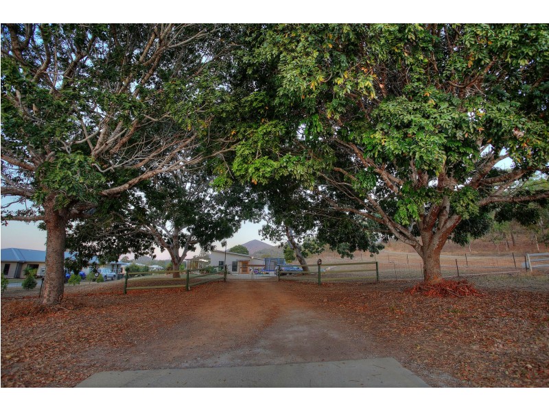 187 Williams Road, Alligator Creek QLD 4816