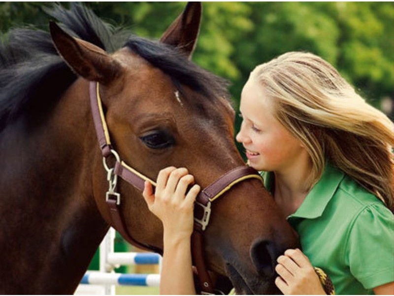 224 Valley Drive, Oak Valley QLD 4811