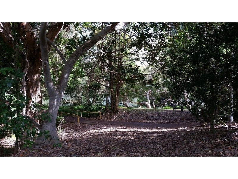 17 Scholars Place, Douglas QLD 4814