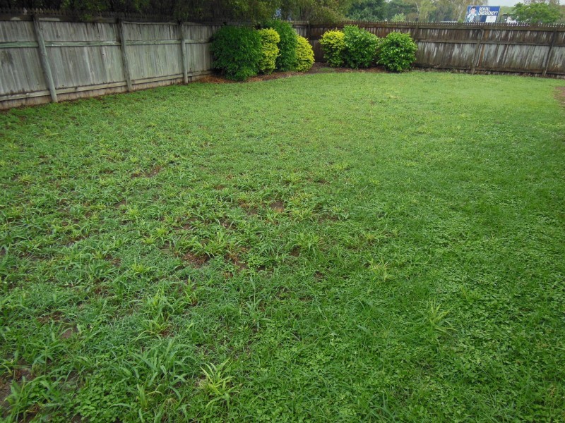 77 Kokoda Street, Idalia QLD 4811