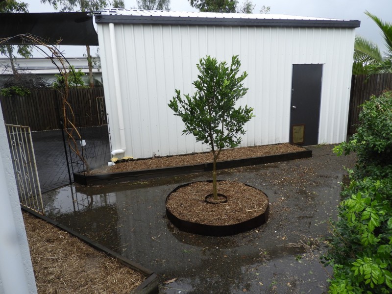 1 Emperor Boulevard, Burdell QLD 4818