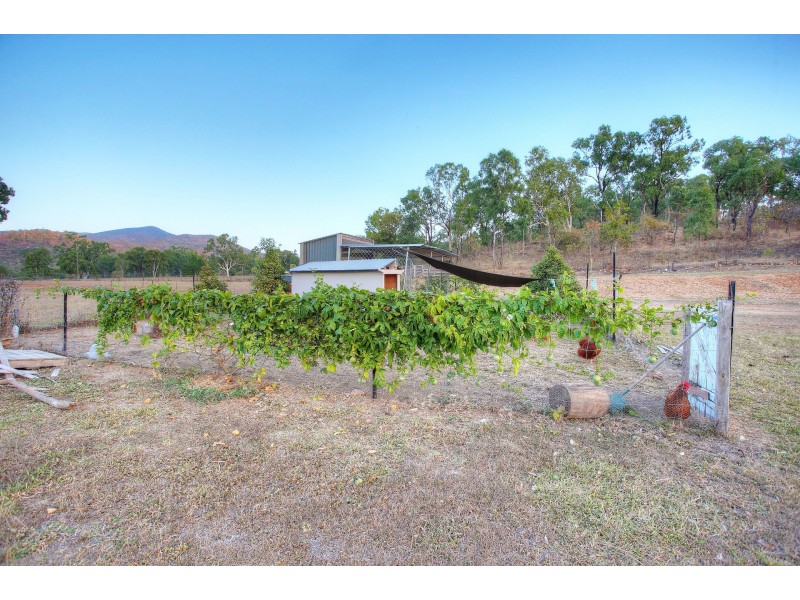 187 Williams Road, Alligator Creek QLD 4816