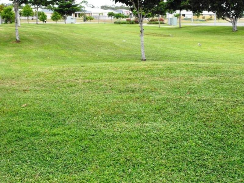 8 Fontwell Crescent, Mount Low QLD 4818