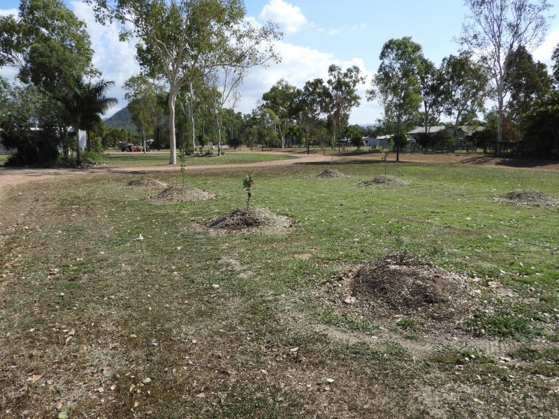 3 Macedon Court, Alice River QLD 4817