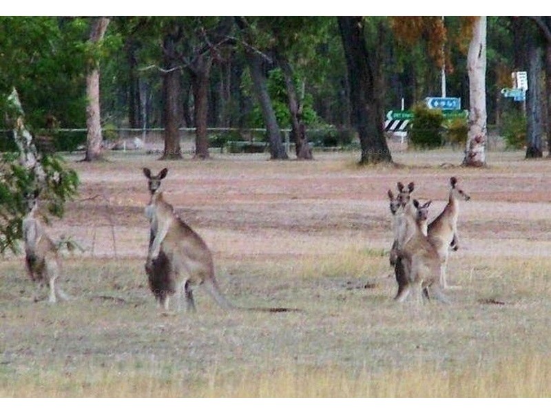 14 Tristana Court, Greenvale QLD 4816