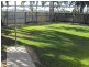 31 Colchester Crescent, Kirwan QLD 4817
