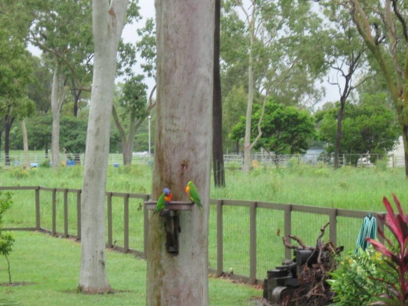 49  Samhordern Road, Alice River QLD 4817