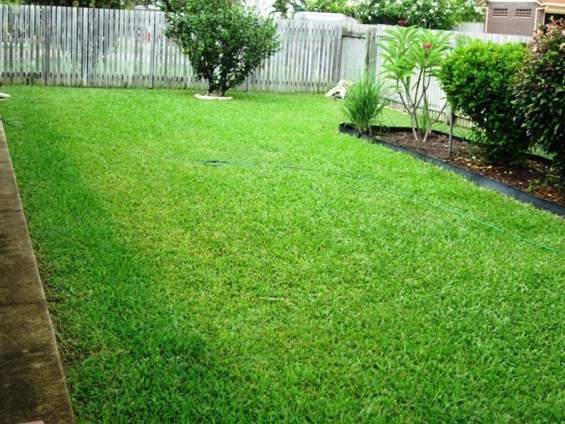 64 Serissa Drive, Annandale QLD 4814