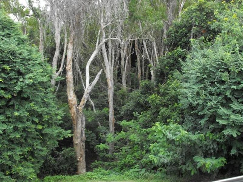 15/159 Riverside Boulevard, Douglas QLD 4814