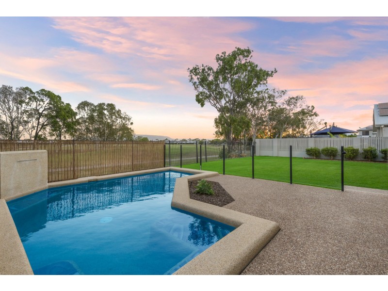 10 Albatross Court, Kirwan QLD 4817
