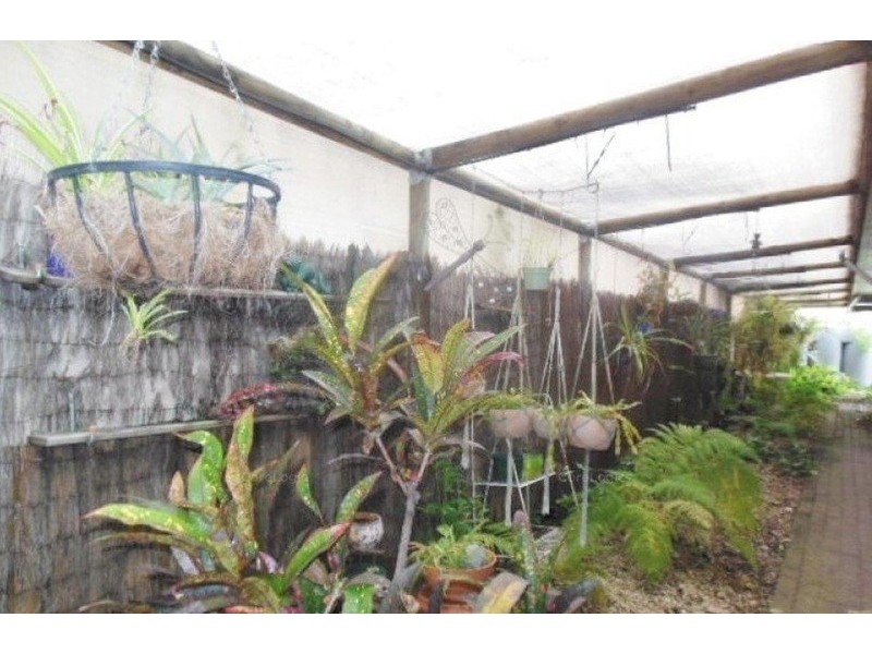 17 Cargillea Avenue, Annandale QLD 4814