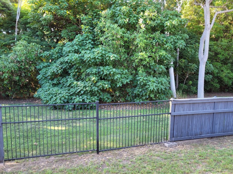 15 Moreton Ash Drive, Douglas QLD 4814