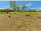 178 Quigley Road, Majors Creek QLD 4816