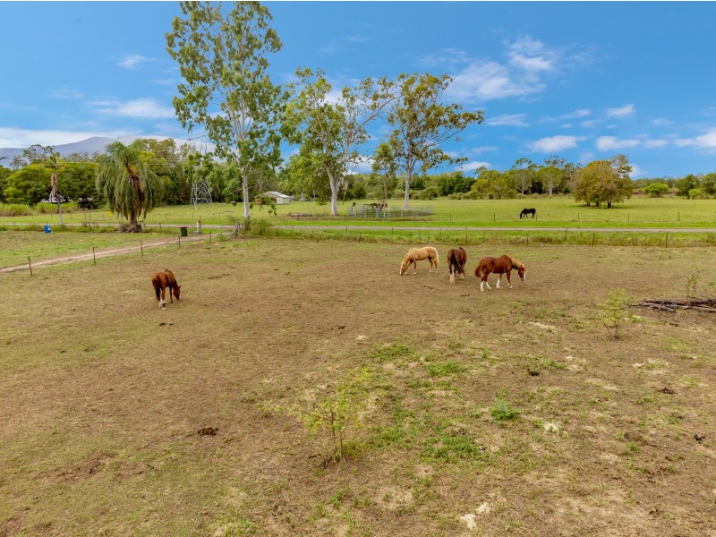 178 Quigley Road, Majors Creek QLD 4816