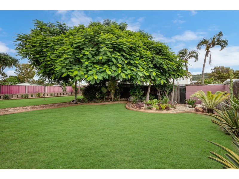 133 Mill Drive, Kirwan QLD 4817