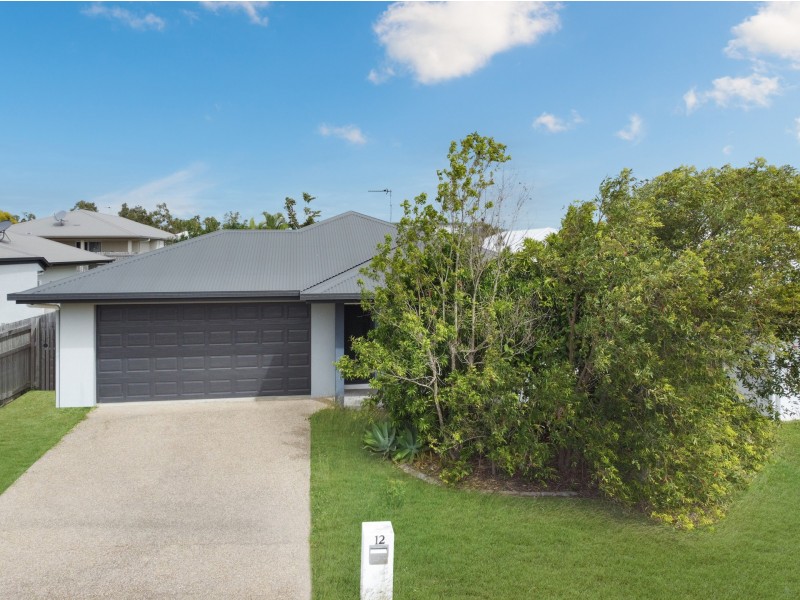 12 Merritt Court, Deeragun QLD 4818