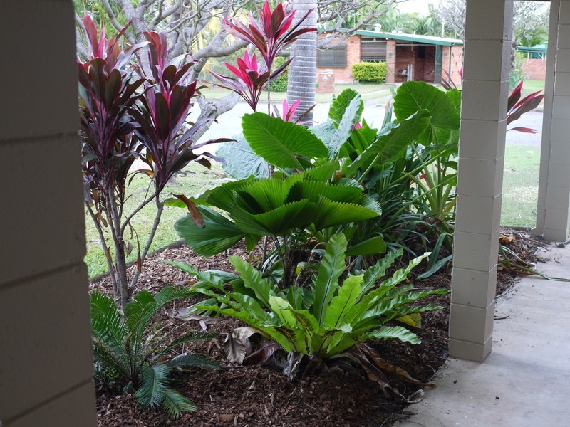 1 Pingel Court, Cranbrook QLD 4814