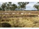 2337 Woodstock Giru Road, Majors Creek QLD 4816